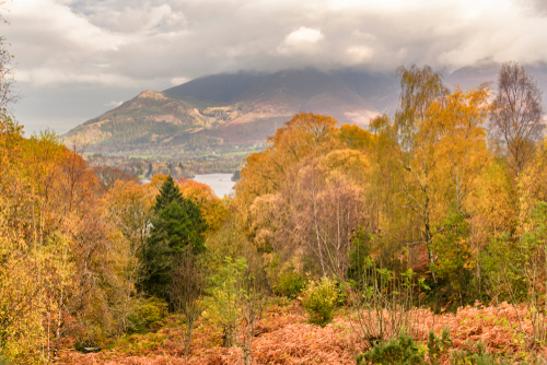 View looking down the valley of Derwentwater towards Keswick, Whinlatter and Skiddaw in the Lake District National Park, Cumbria, England, United Kingdom