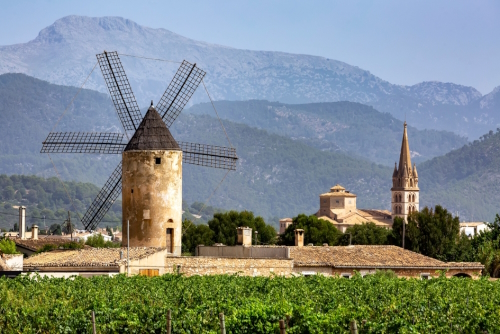 View of a Windmill and church, vineyards, Binissalem, Sierra de Tramuntana, UNESCO World Heritage, Mallorca Island, Balearic Islands, Spain