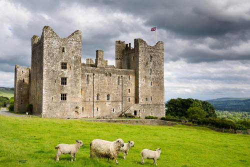 West side of 14th-century Bolton Castle with British flag with clouds and sheep in Wensleydale, Yorkshire, England, United Kingdom