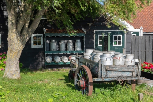 Rural scene in the Zaanse Schans open-air museum in Zaandam near Amsterdam, The Netherlands