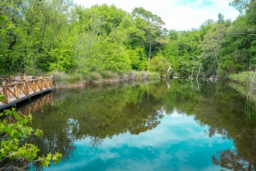 Gunnucek Nature Park is home to many endemic plant species and birds such as the sigla tree. A unique park by the sea for hiking, Marmaris, Antalya, Turkey