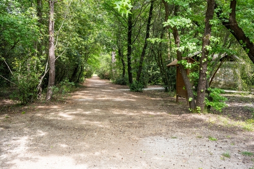 Gunnucek Nature Park is home to many endemic plant species and birds such as the sigla tree. A unique park by the sea for hiking, Marmaris, Antalya, Turkey