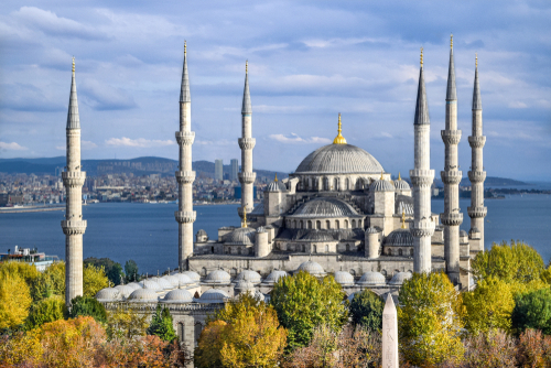 Aerial shot of Blue Mosque (Sultan Ahmed Mosque) surrounded by trees in Istanbul's Old City, Sultanahmet, Istanbul, Turkey in Autumn, Fall colors