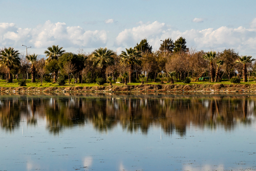 İnciraltı reflections on the lagoon of the Urban Forest, Izmir, Turkey