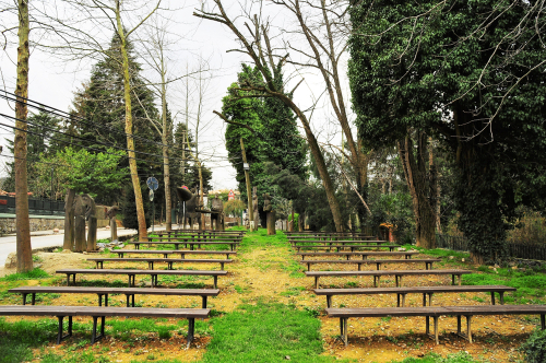 Square Benchs Under Trees at the Polonezkoy Nature Park in Istanbul, Turkey