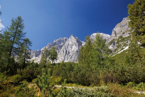 Hiking trail through Schlick with views of the western mountains in Stubai Valley, Tirol, Austria
