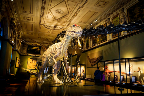 Large dinosaur replica displayed at the Museum of Natural History, Vienna, Austria