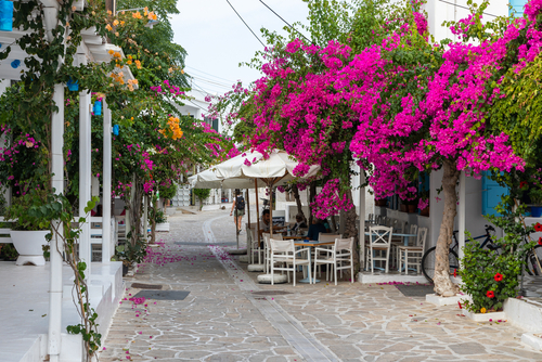 Traditional Greek white architecture in the center of Antiparos town. Pink Bugenwilla on the roof. Antiparos Island near Paros Island, Cyclades Islands, Greece