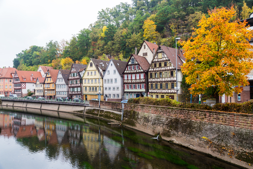 Autumn embankment of Nagold river in Calw in the Black Forest, Baden-Württemberg, Germany
