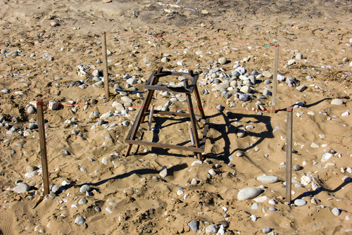 View of protected turtle nesting site on the Island of Zakynthos, Ionian Islands, Greece