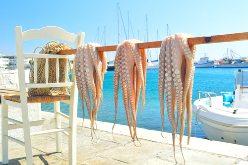 Traditional Greek seafood, Octopus, drying in the sun, Naxos Town, Naxos Island, Cyclades Islands, Greece