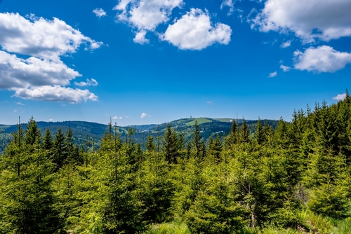 View of the Feldberg in The Black Forest, Baden-Wuerttemberg, Germany