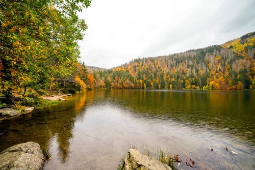 Landscape in autumn at Feldberg in the Black Forest. Feldbergsteig hiking trail. Nature at Feldsee in the Breisgau-Hochschwarzwald district in Baden-Württemberg, Germany