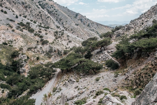 Trail from Rouvas Gorge continues through trees and the Psiloritis Mountains near Rethymno, Island of Crete, Greece