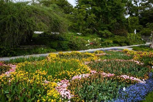 View of beautiful and colorful flower beds at the Munich Botanical Garden in Munich, Bavaria, Germany