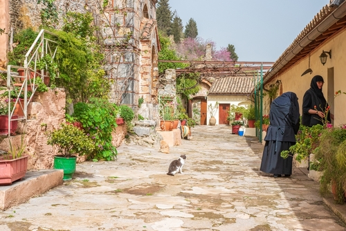 View from the Byzantine city of Mystras, Greece. The city of Mystras is an Archaeological Museum and it was inaugurated in 1951 located in Lakonia, The Peloponnese, Greece