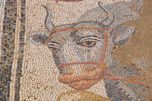 Fragment of antique mosaic in the archaeological park of Dion, Pieria, Macedonia, Greece