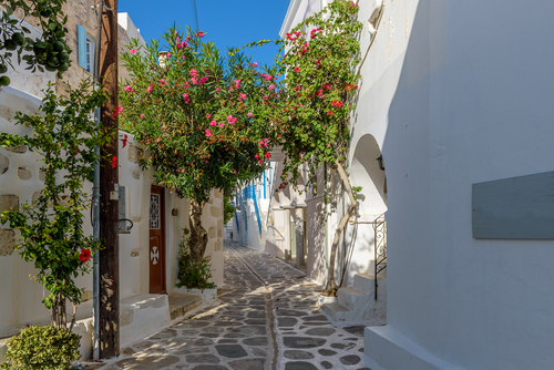 Traditional Cycladic alley with a narrow street, whitewashed houses and a blooming bougainvillea in Parikia town, Paros Island, Cyclades Islands, Greece