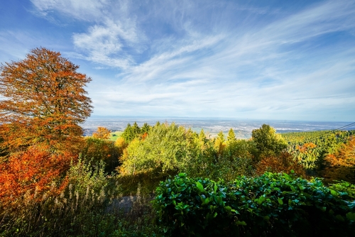 View from Schauinsland in the Black Forest of the surrounding nature near Freiburg im Breisgau. Landscape with forests and hills in autumn. Baden-Wuerttemberg state, The Black Forest, Germany