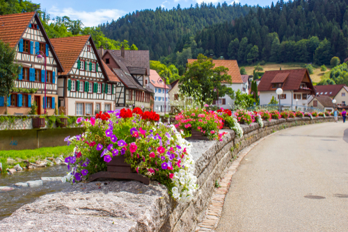 Beautiful colorful flowers with a view of the town of Shiltach, The Black Forest, Baden-Wurttemberg, Germany