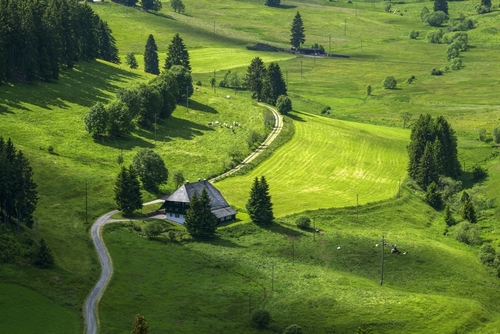 A lonely farmhouse near St. Margen in the Black Forest, Baden-Wurttemberg, Germany. On a Sunny day