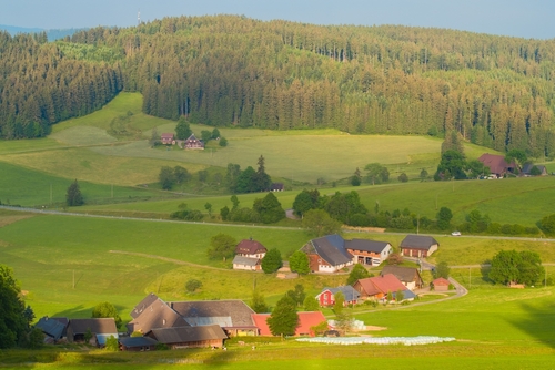 View of Triberg im Schwarzwald town, specializing in Cuckoo clocks, the Black Forest, Baden-Württemberg, Germany
