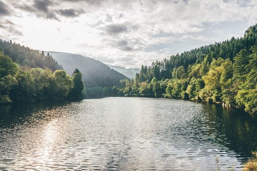 Sunny landscape with bright green colors of the Murgtalsperre reservoir lake in the Black Forest national, Baden-Wurttemberg, Germany