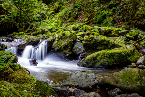 Ravenna Schlucht, nearby Freiburg im Breisgau in the Black Forest, Germany. You can find the valley when you drive from Hinterzarten to Freiburg