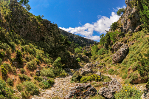 Rocky path leading through the Imbros Gorge near Chania, on the island of Crete, Greece
