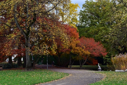 Colorful autumn trees at the Municipal Park (Stadtgarten), a favorite place of rest for citizens and tourists in Freiburg im Breisgau city, Baden-Wuerttemberg state, The Black Forest, Germany