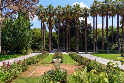 Palm garden in the National Gardens and the Zappeion Park in Athens, Attica, Greece
