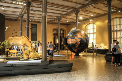 Exhibits at the Natural History Museum (Museum für Naturkunde) in Berlin, Germany