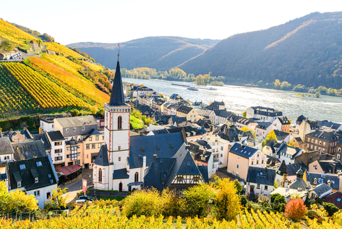 Church, houses and vineyards in Assmanshausen in colorful yellow autumn. Upper middle Rhine river valley (Mittelrhein), nearby Rudesheim am Rhein, Lorch, Hessen, Germany