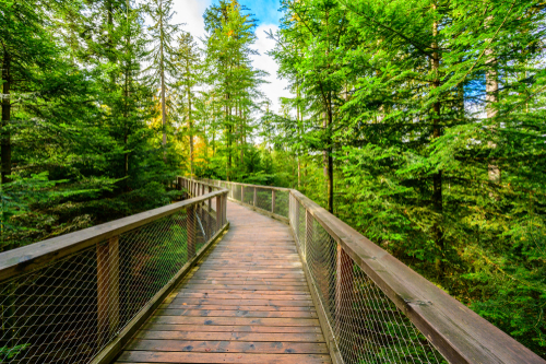 Treetop walk in the Black Forest with 40m high Lookout tower located at Sommerberg, Bad Wildbad, Baden-Württemberg, Germany