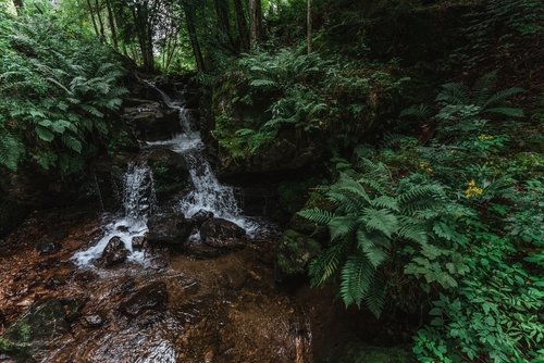 View of Todtnauer waterfalls of the black forest (Schwarzwald), Baden-Wuerttemberg, Germany