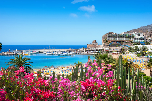 Beautiful colorful flowers in the foreground and Puerto Rico's beach in the background, Gran Canaria island, The Canary Islands, Spain