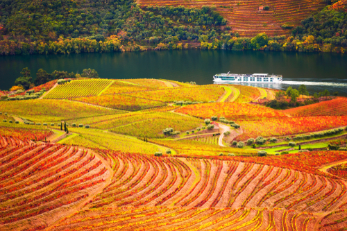 A Viewpoint in the Douro Valley, near Porto, Portugal
