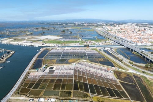 Aveiro Lagoon, Aveiro, Portugal