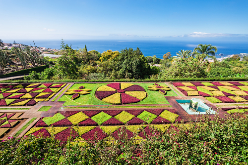 Madeira, Funchal, Botanical Gardens, Portugal
