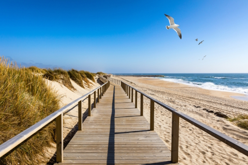 Wooden path at Costa Nova d'Aveiro, Portugal, over sand dunes with ocean view and seagulls flying over Praia da Barra. Wooden footbridge of Costa Nova beach in a sunny day. Aveiro, Portugal