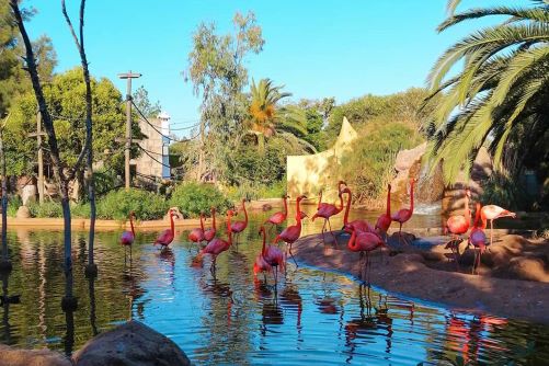 Lagos Zoo, Algarve Region, Portugal