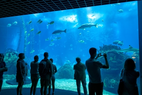 Lisbon Oceanarium and people watching marine life in big central aquarium, Portugal