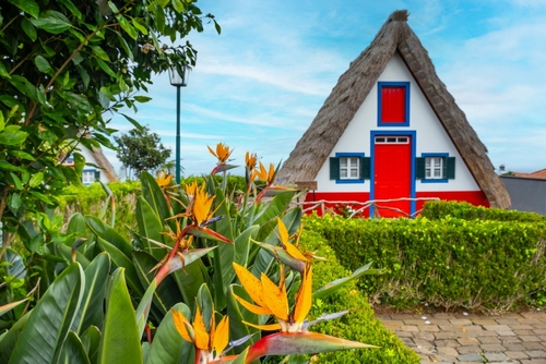Traditional hut houses and garden in the village of Santana, Madeira, Portugal. The town in the northern part of the island is an highly popular destination and attraction
