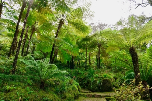 Gardens view of Monserrate Palace, it was the traditional summer resort of the Portuguese court and was restored in 1858 for Sir Francis Cook, Sintra, Portugal