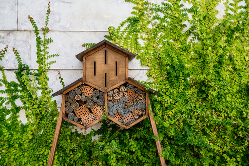 In the pavilion of knowledge in Lisbon, Portugal, a wooden building that looks like a birdhouse but with messages