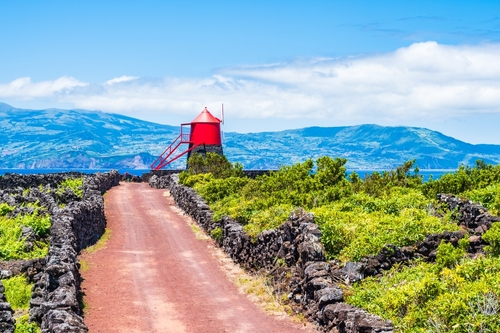 A Vineyard and Windmill in Pico Island, Azores, Portugal