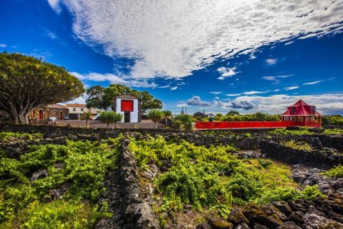 Wine Museum and vineyard in Madalena, Pico Island, Azores