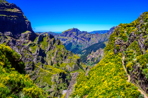 Pico Ruivo mountain, Madeira island, Portugal