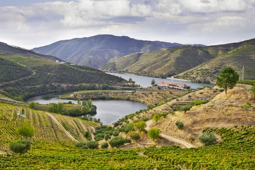 Douro Valley east of Porto, Portugal