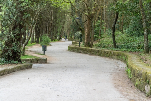 Spring time views at Parque da Cidade do Porto, Portugal